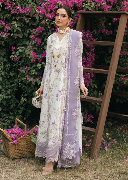 Lavender