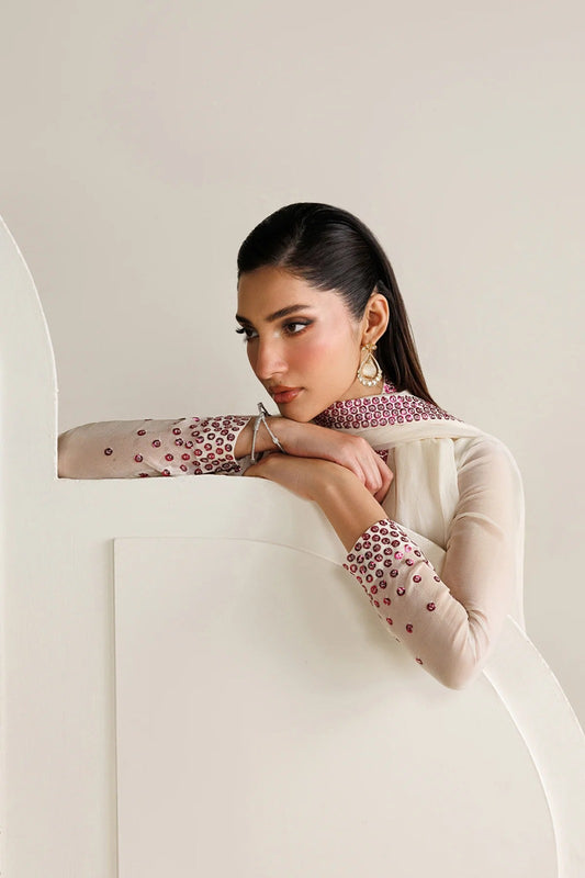 Luxury Embroidered Chiffon